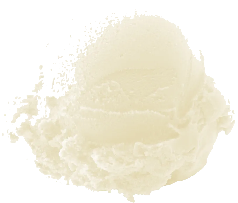 Coconut sherbet scoop